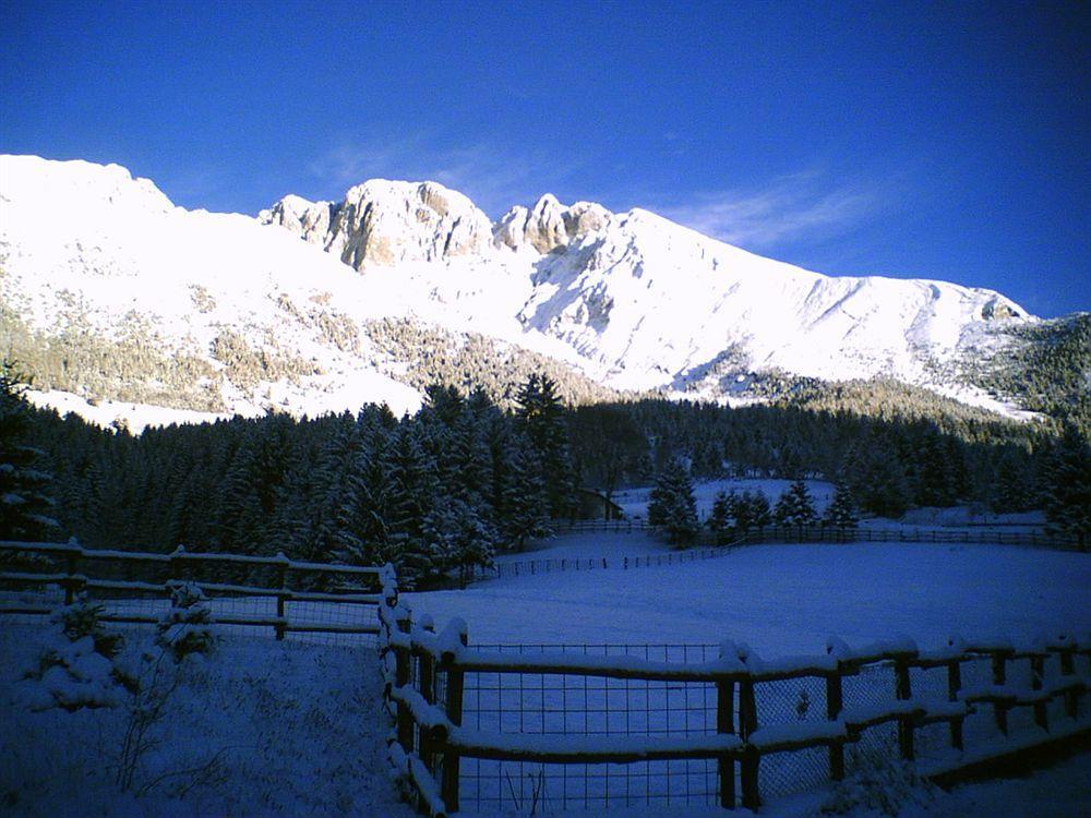 Hotel Des Alpes Кастьоне-делла-Презолана Экстерьер фото