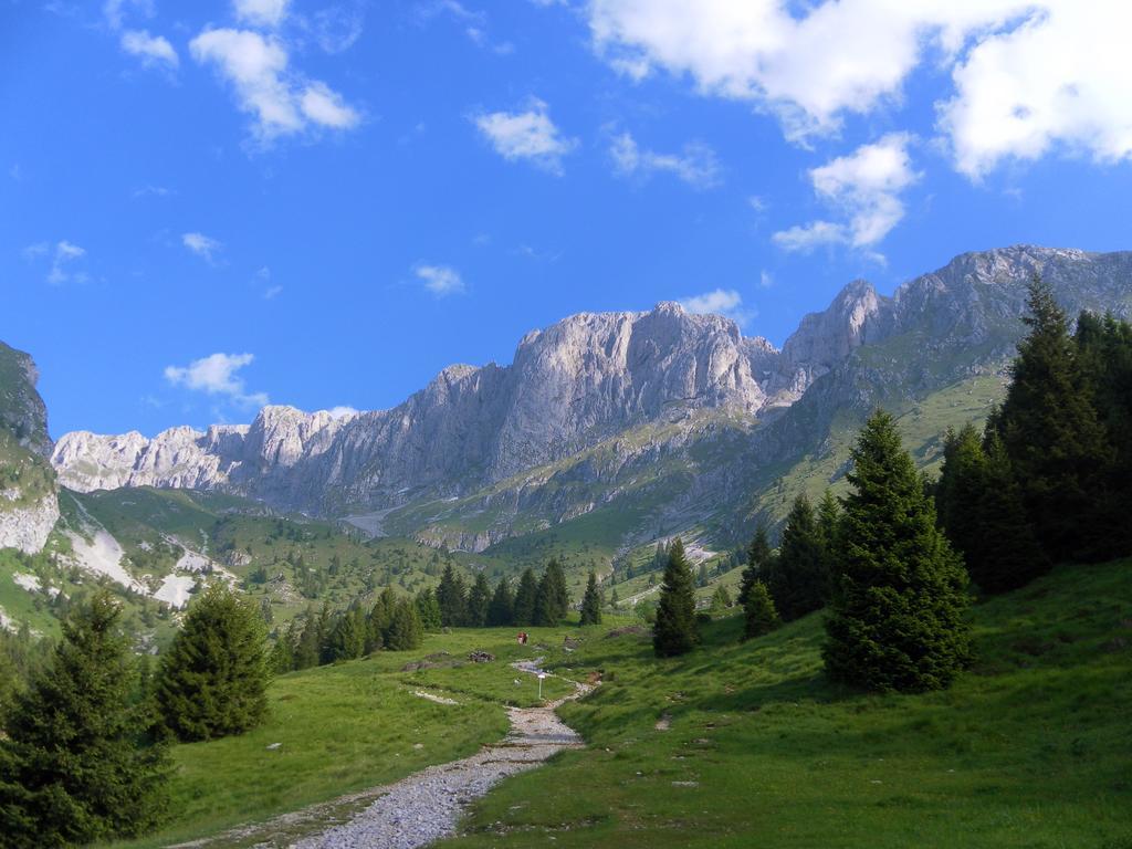 Hotel Des Alpes Кастьоне-делла-Презолана Экстерьер фото