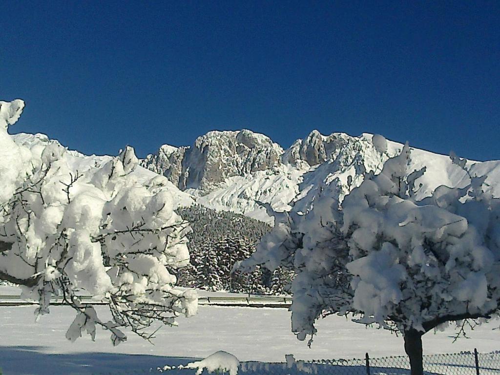 Hotel Des Alpes Кастьоне-делла-Презолана Экстерьер фото