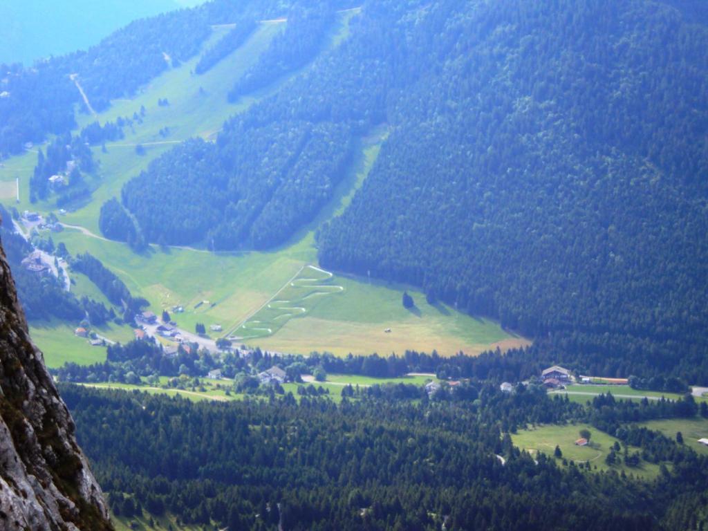 Hotel Des Alpes Кастьоне-делла-Презолана Экстерьер фото