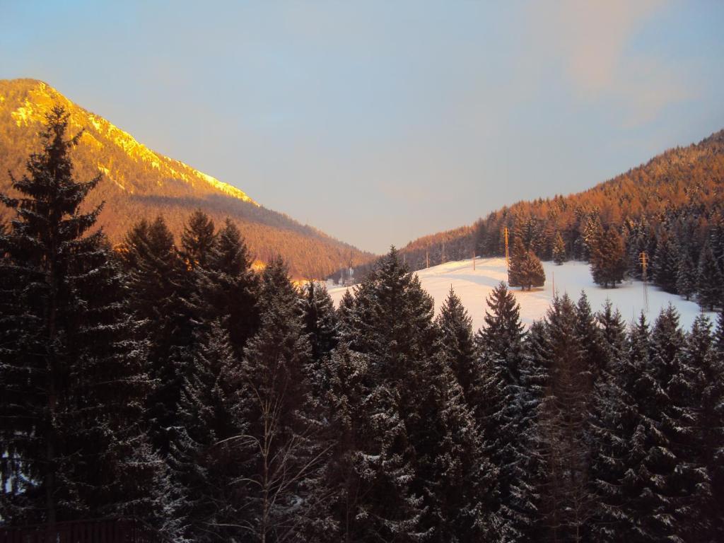 Hotel Des Alpes Кастьоне-делла-Презолана Номер фото