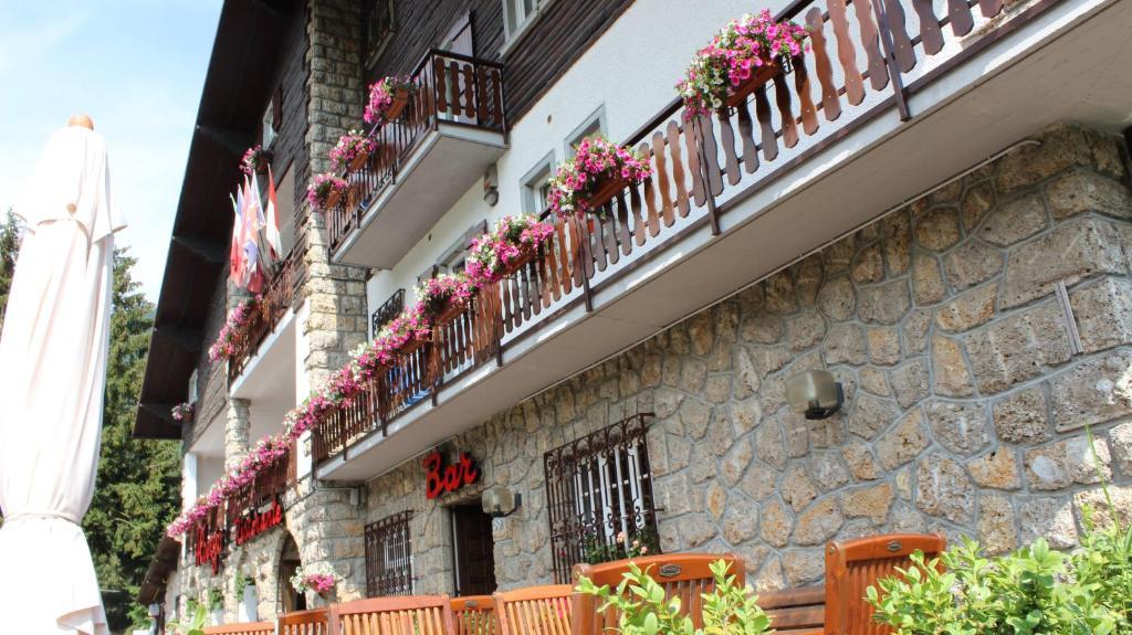 Hotel Des Alpes Кастьоне-делла-Презолана Экстерьер фото