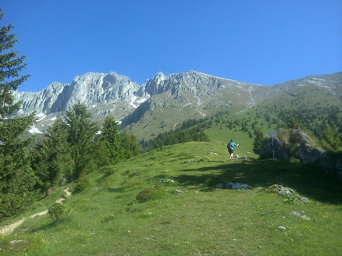 Hotel Des Alpes Кастьоне-делла-Презолана Экстерьер фото