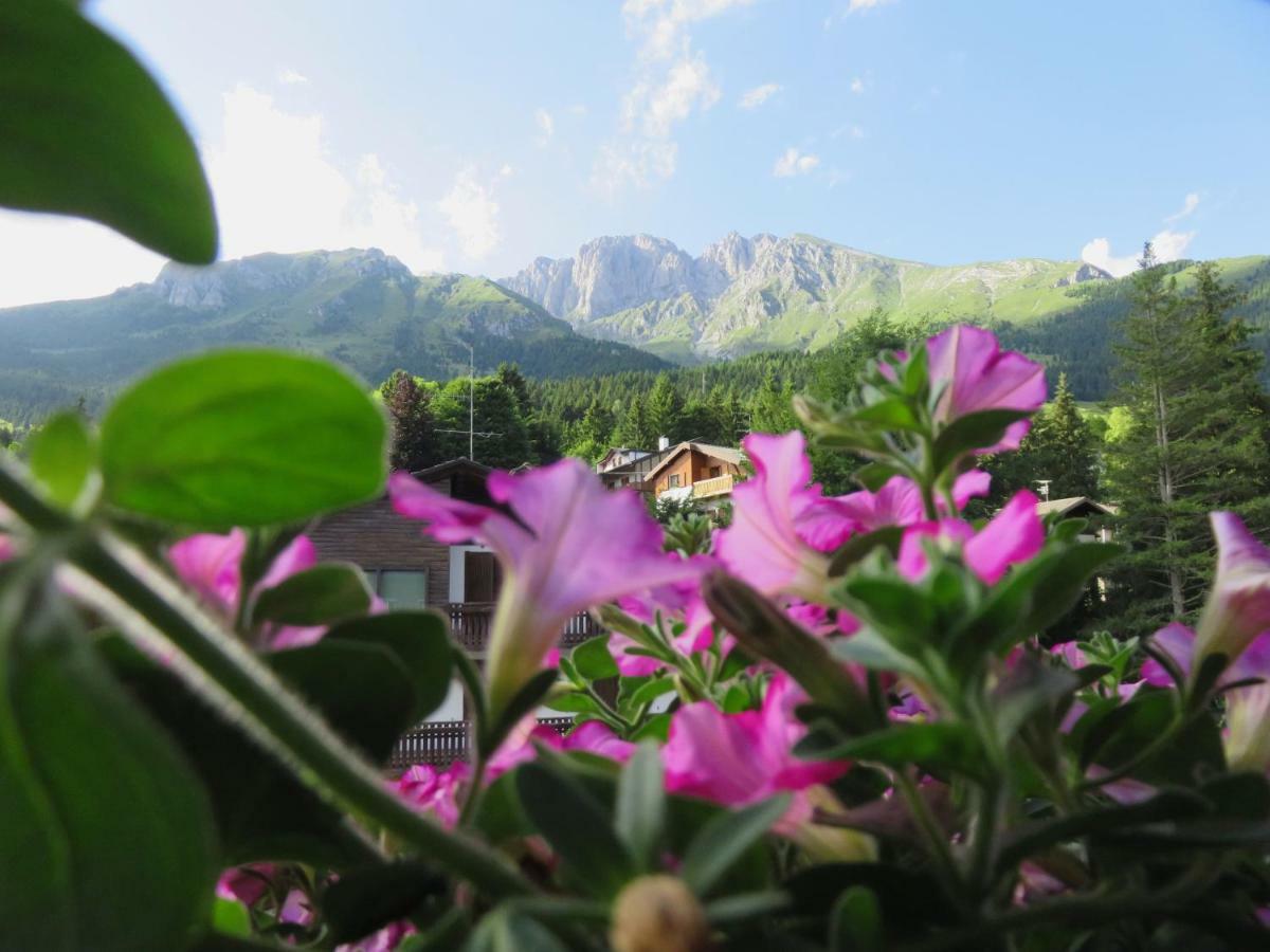 Hotel Des Alpes Кастьоне-делла-Презолана Экстерьер фото